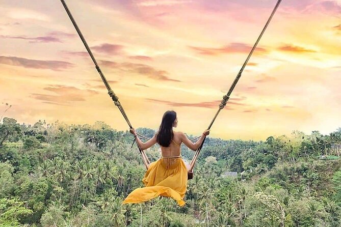 Ubud Waterfalls, Rice Terrace & Jungle Swing - Private Tour - Stop 4: Tegalalang Rice Terrace, classic views and an active walk