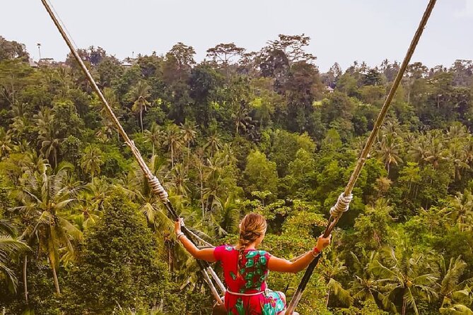 Ubud Waterfalls, Rice Terrace & Jungle Swing - Private Tour - Optional jungle swing above the rice paddies