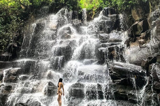 Ubud Waterfalls, Rice Terrace & Jungle Swing - Private Tour - Getting around in comfort from Ubud and south Bali
