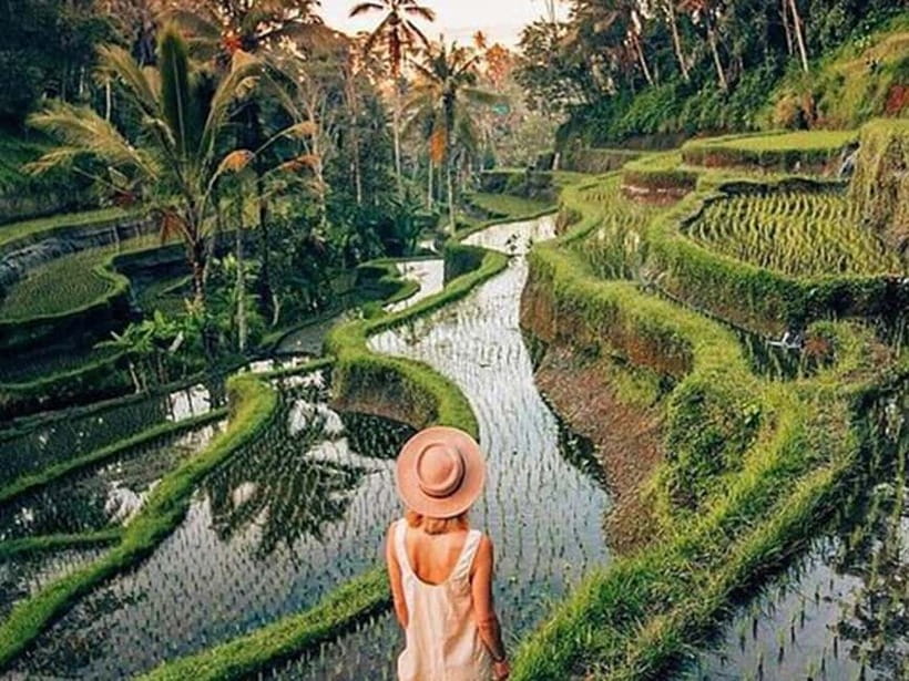Ubud: Waterfalls, Temple, and Rice Terrace Private Day Tour - Tirta Empul Temple: holy water blessing, sarong required