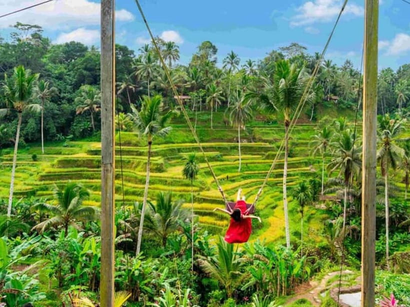 Ubud: Waterfalls, Temple, and Rice Terrace Private Day Tour - Lunch with jungle views: plan for your own meal cost
