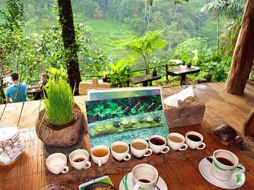 Ubud: Waterfalls, Temple, and Rice Terrace Private Day Tour - Coffee, tea, and chocolate plantation: tasting plus real processing
