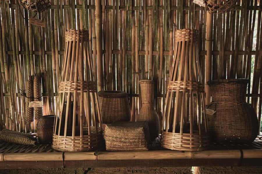 Ubud: Waterfalls & Temple with Rice Terrace Small-Group Tour - Price and what you actually get for about $20