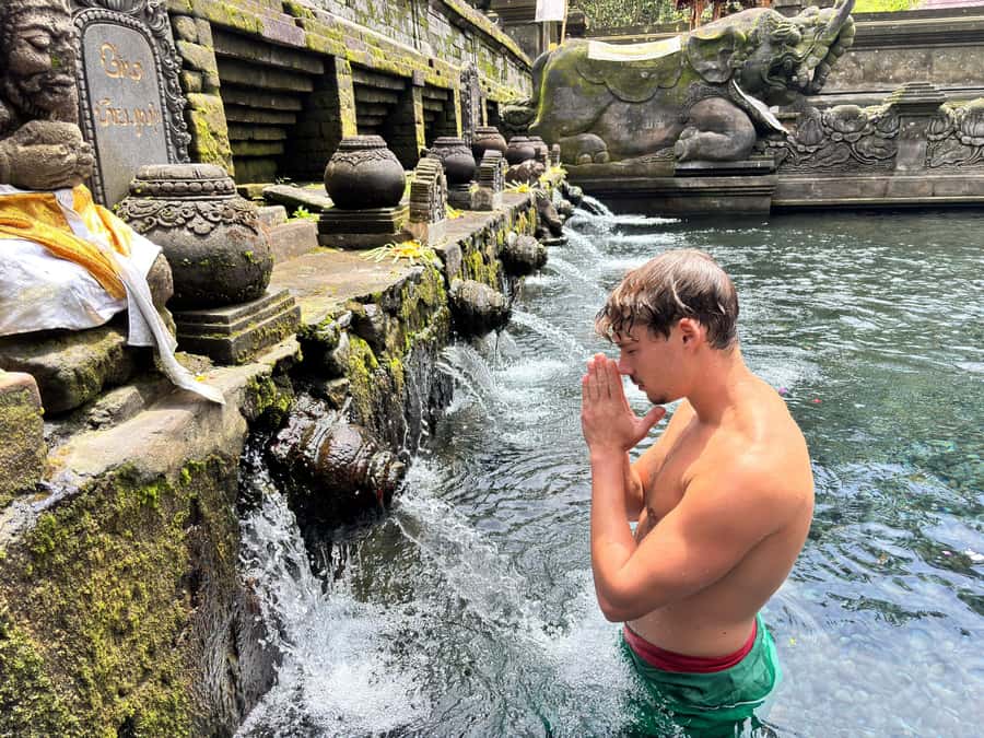Ubud: Waterfalls, Water Temple & Rice Terraces Private Tour - Why the private driver-guide matters more than you think
