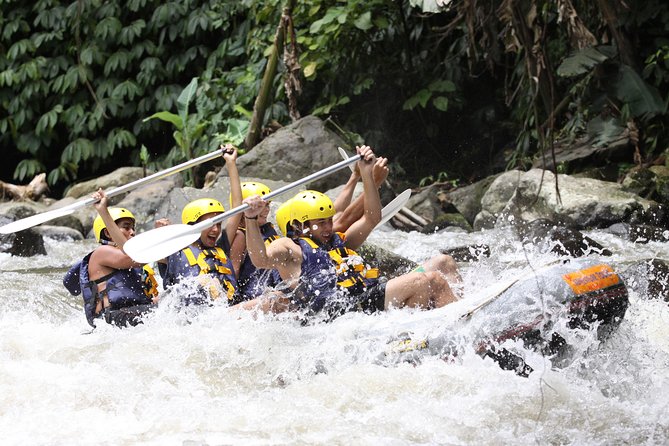 Ubud White Water Rafting, Rice Terrace and Jungle Swing - Door-to-Door Transfers and How the Day Stays Manageable