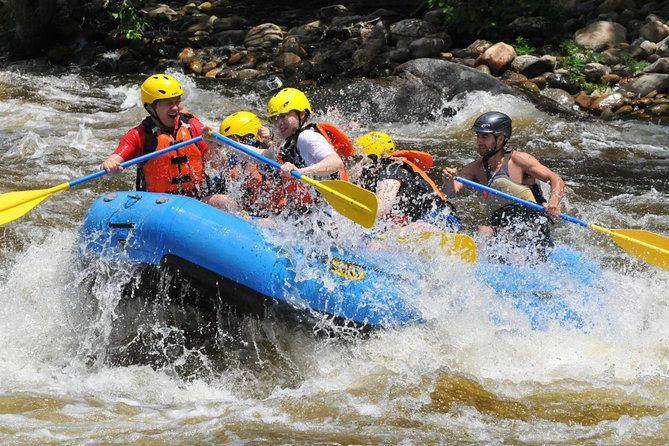 Ubud White Water Rafting with Waterfall and Lunch - Price and value: why this costs about $26.97 and what you should check