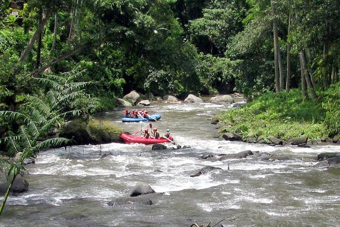 Ubud White Water Rafting with Waterfall and Lunch - Who this rafting trip is best for (and who should reconsider)