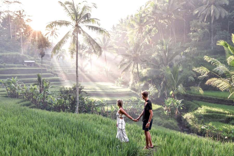 Ubud: Zip-line Adventure, River Rafting & Rice Terraces Tour - Lunch with river or jungle views: refuel after the splash