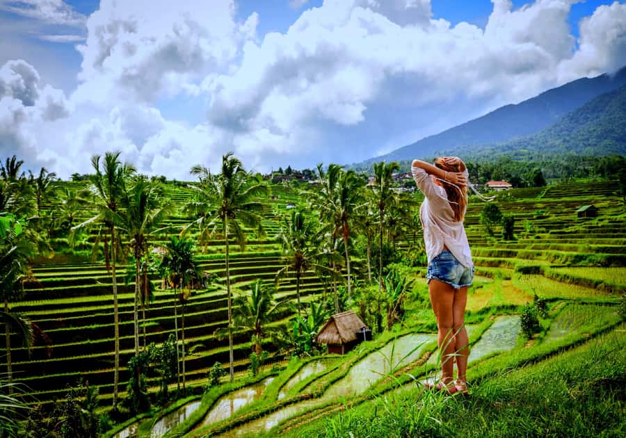 Ubud: Zip-line Adventure, River Rafting & Rice Terraces Tour - Tegallalang rice terraces and the Subak irrigation lesson you can actually see