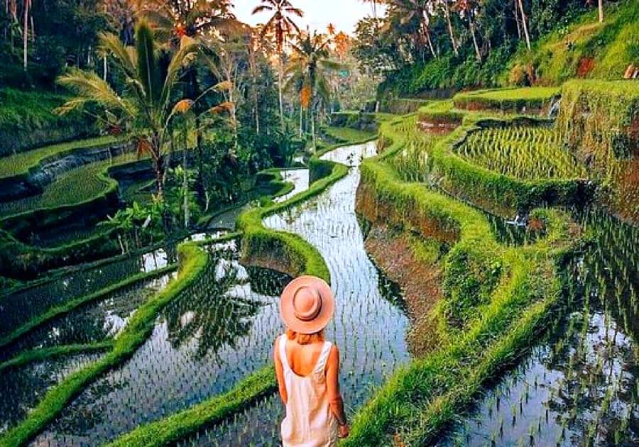 Ubud: Zip-line Adventure, River Rafting & Rice Terraces Tour - FAQ