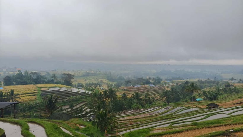 Ulun Danu Beratan Temple, Jatiluwih, Banyumala waterfall - Coffee Plantation Tasting: What You Actually Get Out of It