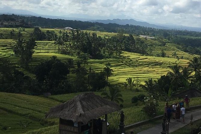 UNESCO World Heritage Tour - Ubud is a smart launch point for Bali’s UNESCO north