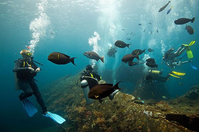 USS Liberty Shipwreck Scuba Diving at Tulamben Bali - Why the USS Liberty Wreck in Tulamben Works So Well