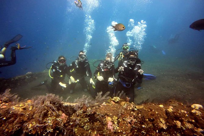 USS Liberty Shipwreck Scuba Diving at Tulamben Bali - What Helps the Most: Slow Coaching and Consistent Check-Ins