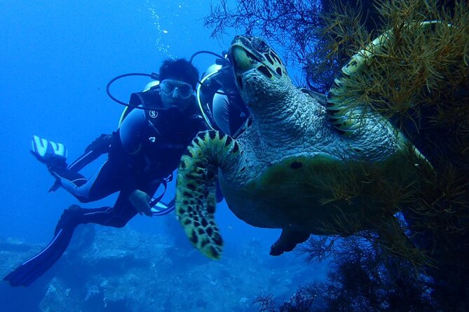 USS Liberty Shipwreck Scuba Diving at Tulamben Bali - The 8:00 am Start and the Full 10-Hour Rhythm