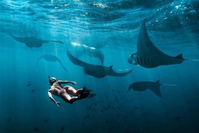 VIP Private Boat to Nusa Penida: Snorkeling with Mantas + Land Tour Adventure - Gamat Bay and Wall Bay Point: More Coast, More Color