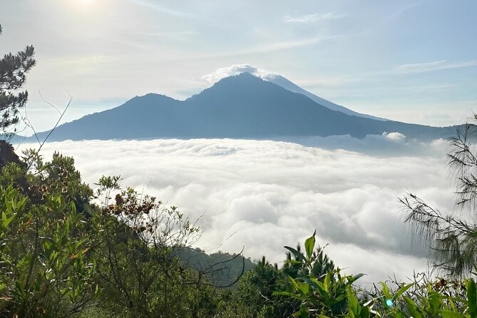 Volcano Bali Tour with Ubud Village - Tegenungan Waterfall - Rice Terrace - Pickup, a real driver, and why “hassle-free” is the point