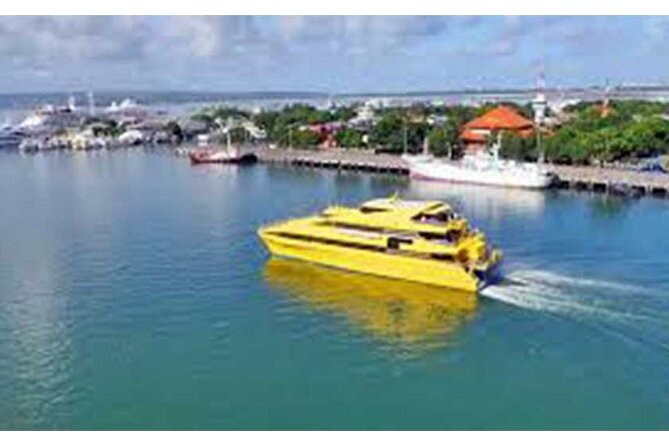 West Nusa Penida Full-Day Private Tour - What to pack and how to make the day feel smoother