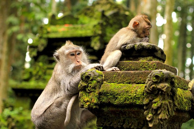 Wonderful Of Ubud Tours - Goa Gajah (Elephant Cave): a historic pause between scenery and crafts