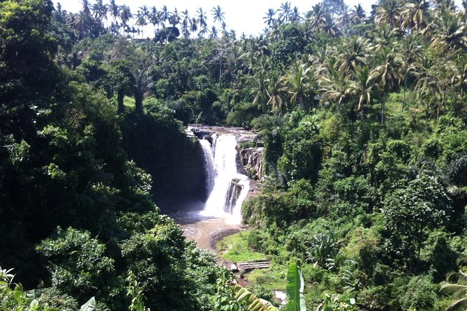 Wonderful Of Ubud Tours - Mas carving, a woodcarving and batik stop, and Celuk silver work