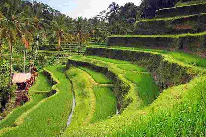 Wonderful Of Ubud Tours - Batubulan batik craft stop, then a full reset before the waterfall