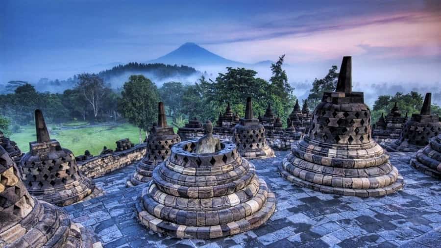 Yogyakarta: Borobudur Half-Day Tour with Climb up Access - The guided 3-hour temple walk: carvings, stupas, and the “why”