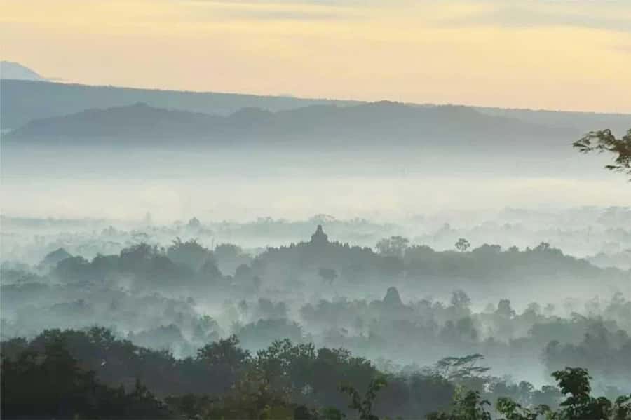 Yogyakarta: Borobudur Sunrise (Climb-up Assured) & Prambanan - Setumbu Hill Sunrise: Mist, Volcano Views, and the Big Early Morning