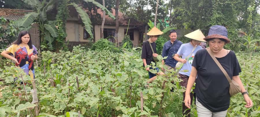 Yogyakarta: Cooking Class with Market Visit and Hotel Pickup - Price and value: why $33 feels fair for what you get