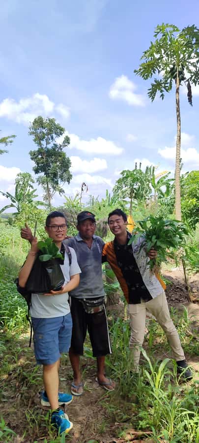 Yogyakarta: Cooking Class with Market Visit and Hotel Pickup - A rice plantation visit that explains Java’s staple crop