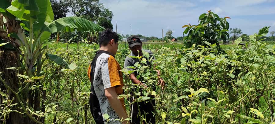 Yogyakarta: Cooking Class with Market Visit and Hotel Pickup - Hotel pickup that keeps your morning stress-free