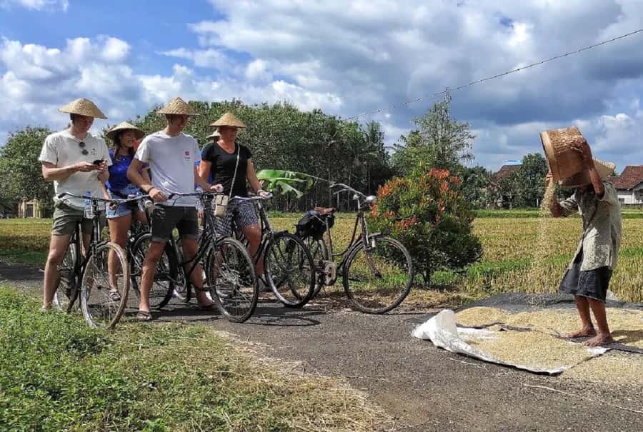 Yogyakarta: Countryside Village Cycling Tour With Guide - How the Old Bikes and Small Group Make It Easy