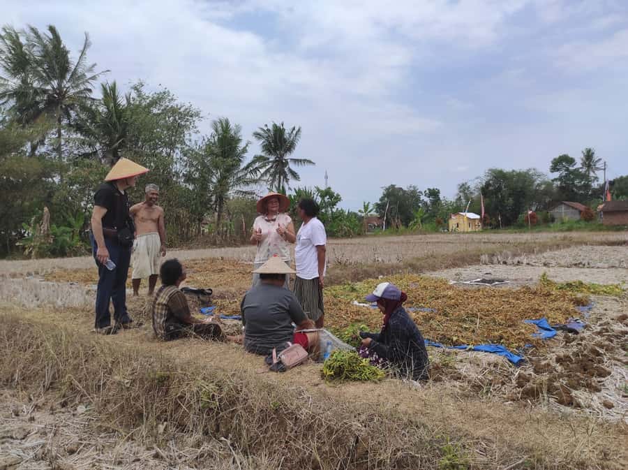 Yogyakarta: Countryside Village Cycling Tour With Guide - Emping Melinjo Cracker Cooking Over Traditional Furnaces
