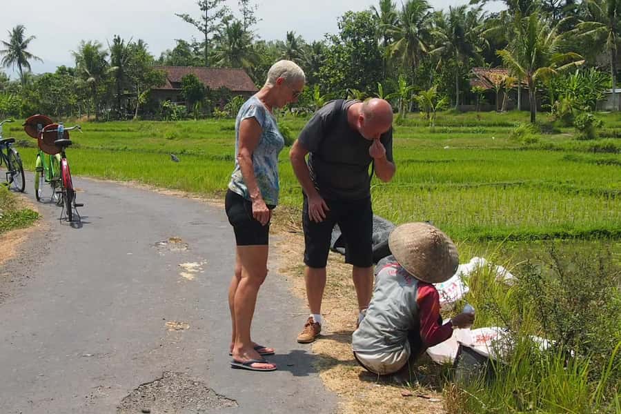 Yogyakarta: Countryside Village Cycling Tour With Guide - Local Donation, Snacks, and Being a Respectful Visitor