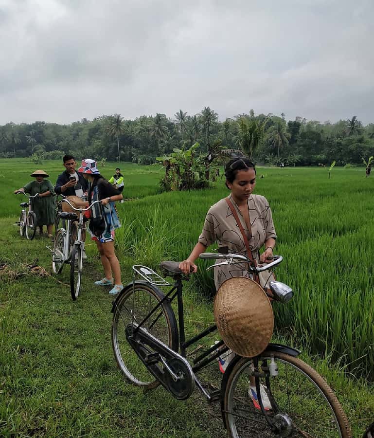 Yogyakarta: Countryside Village Cycling Tour With Guide - What Happens During the 5 Hours, From Pickup to Village Return