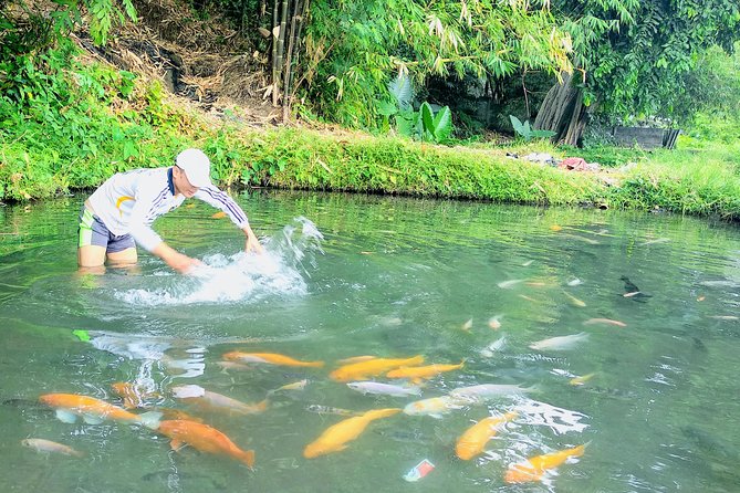 Yogyakarta Cycling Tour Around the Villages and Fish Farm - Sendang Sombomerti fish farm: fish therapy plus a lunch you can actually smell