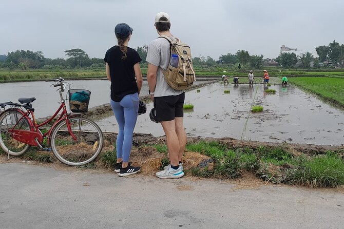 Yogyakarta Cycling Tour Around the Villages and Fish Farm - Who should book this cycling and fish-farm combo