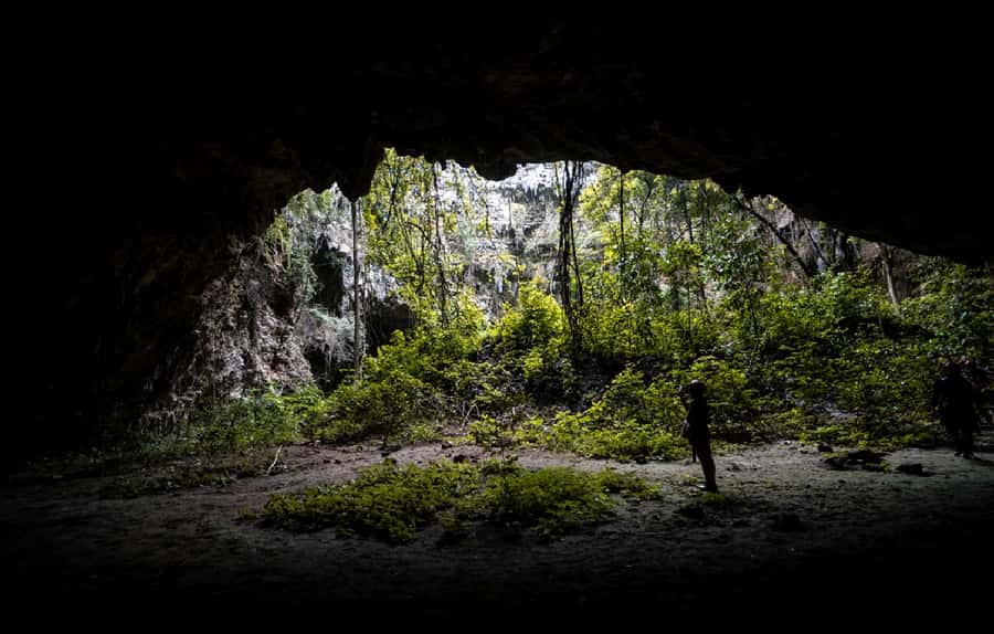 Yogyakarta: Jomblang & Pindul Cave Guided Adventure - Should You Book This Jomblang and Pindul Guided Adventure?