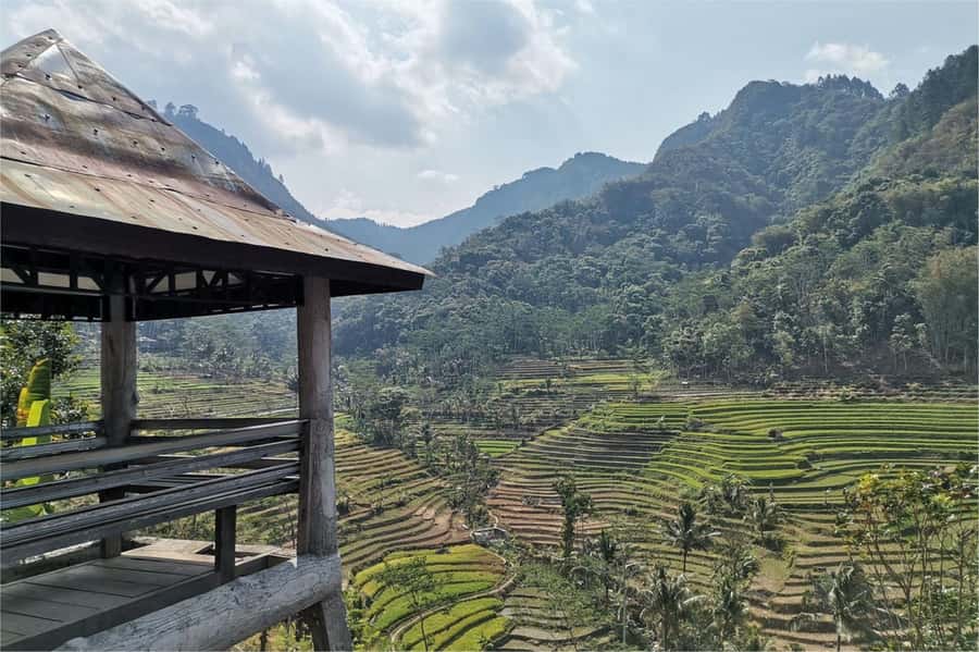 Yogyakarta: Selogriyo Temple, Rice Terraces & Waterfall Tour - Key things to know before you go