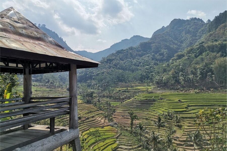 Yogyakarta: Selogriyo Temple, Rice Terraces & Waterfall Tour - Value and price: what $65 gets you and where extra costs appear