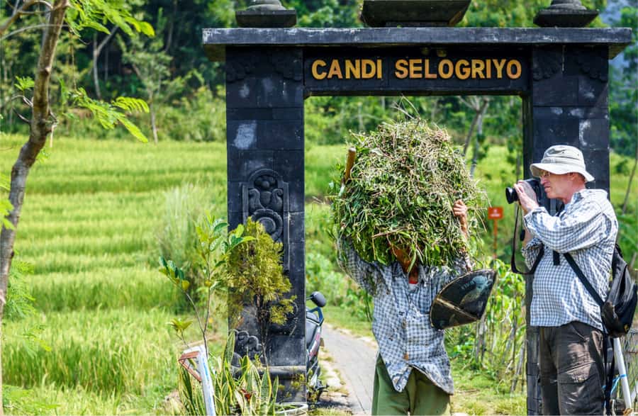 Yogyakarta: Selogriyo Temple Tour & Java Rice Terrace Trek - Local stops for coffee and tea can add a lot of flavor to the day
