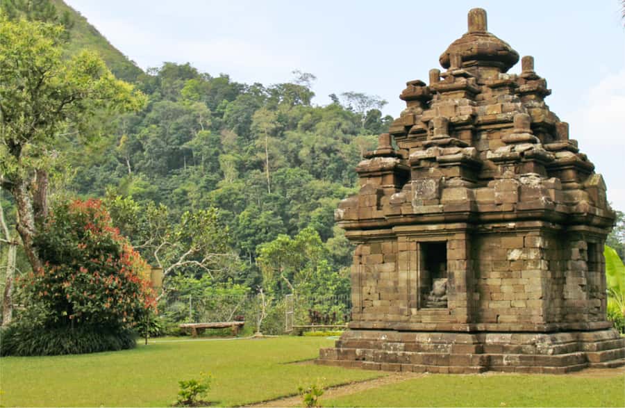 Yogyakarta: Selogriyo Temple Tour & Java Rice Terrace Trek - Guides and the small-group setup: why you feel cared for on the hike